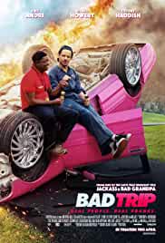 Bad Trip 2020 Hindi Dubbed 480p Filmy4WEB