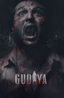 Download Gudiya 2023 Punjabi Movie 480p 720p 1080p Filmy4WEB