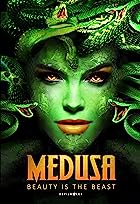 Medusa 2020 Hindi Dual Audio 480p 720p 1080p Filmy4WEB