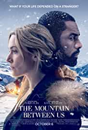 The Mountain Between Us 2017 Dual Audio Hindi 480p Filmy4WEB