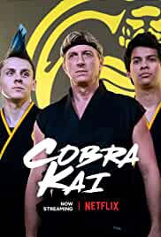 Cobra Kai Filmy4WEB All Seasons Hindi Dubbed